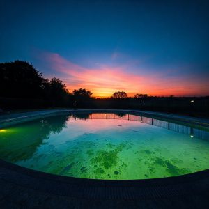 How to Remove Algae from Your Pool and Prevent It from Coming Back